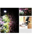 Motion Sensor Solar Lights